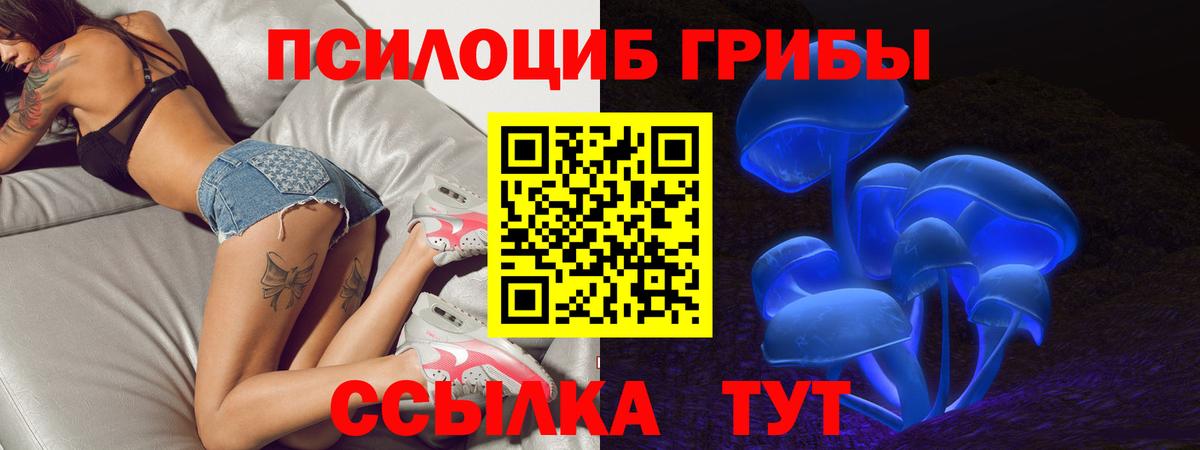 Галлюциногенные грибы Psilocybe  Вход с VPN  Сергиев Посад  Псилоцибиновые грибы Magic Shrooms 