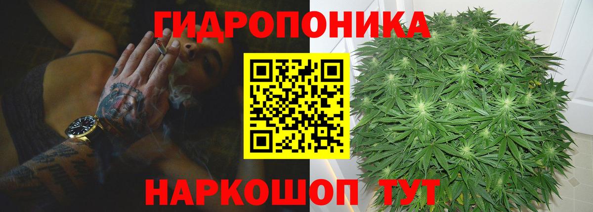 Конопля Bruce Banner Сергиев Посад